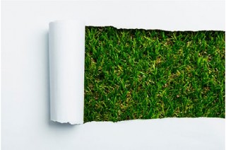 Травяная (газонная) бумага — экоматериал будущего