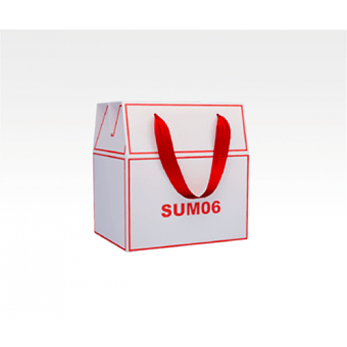 Коробка-сумка 165x125x112 мм, изготовление на заказ, печать лого, верёвочные ручки